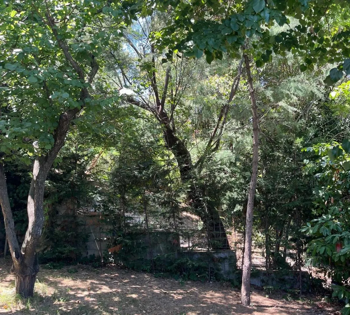 Willa Villetta Panoramica Con Giardino A Riccione Włochy